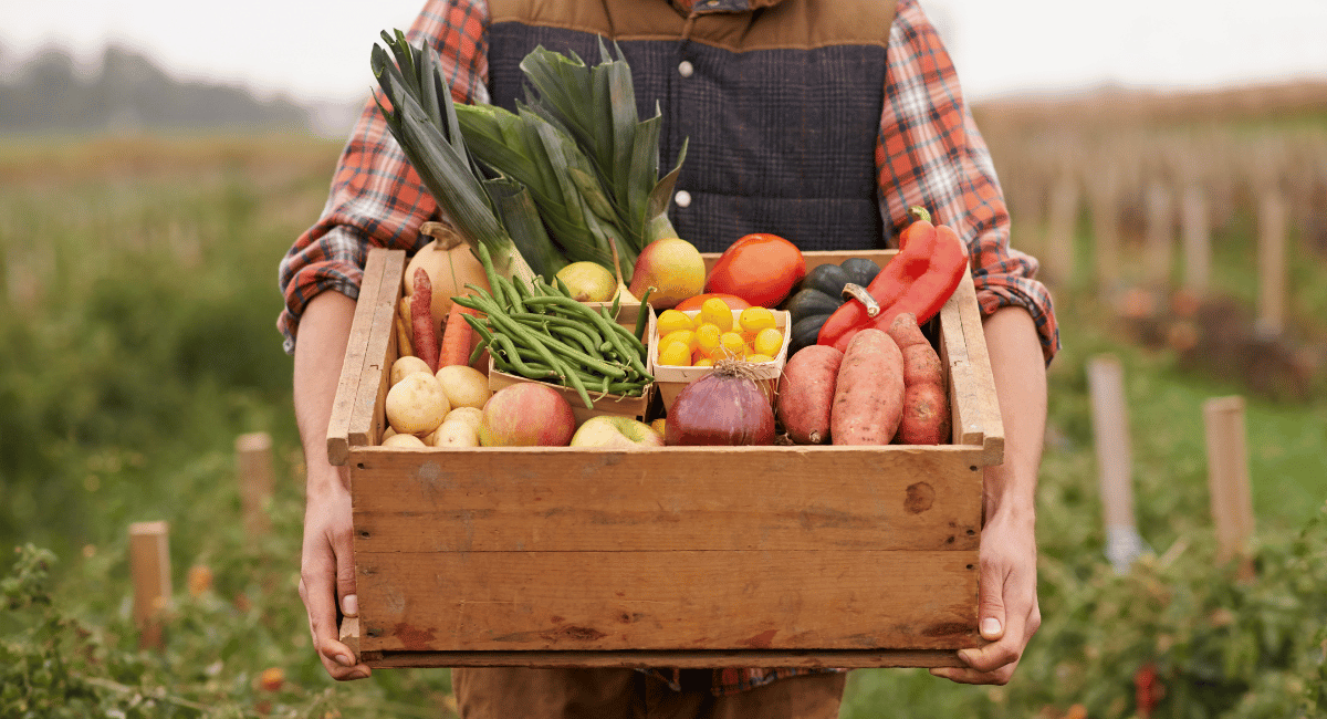The personal service GrazeCart helps small farms compete with big grocery chains