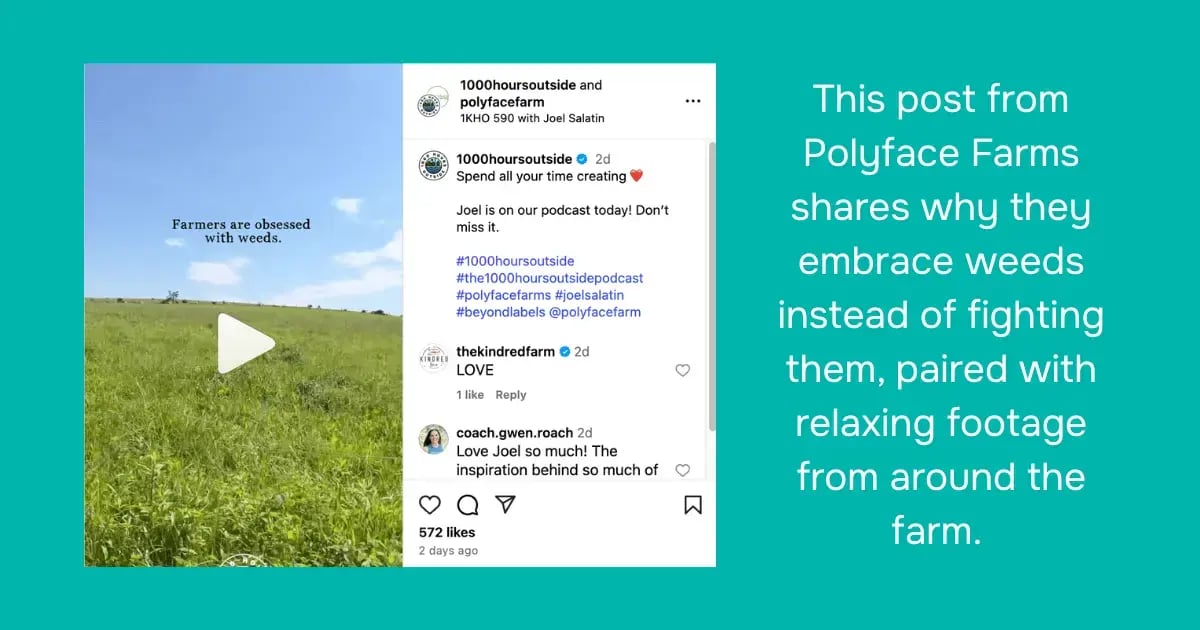 GC Social Media Example 2