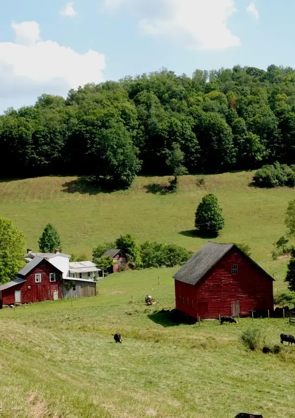 GC Farm Store - Track Results 4