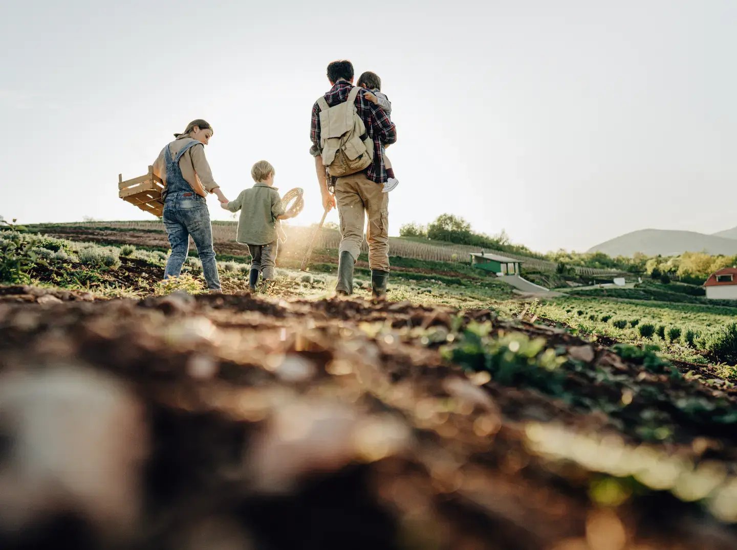 GC Farm Store Guide - Website Elements 2