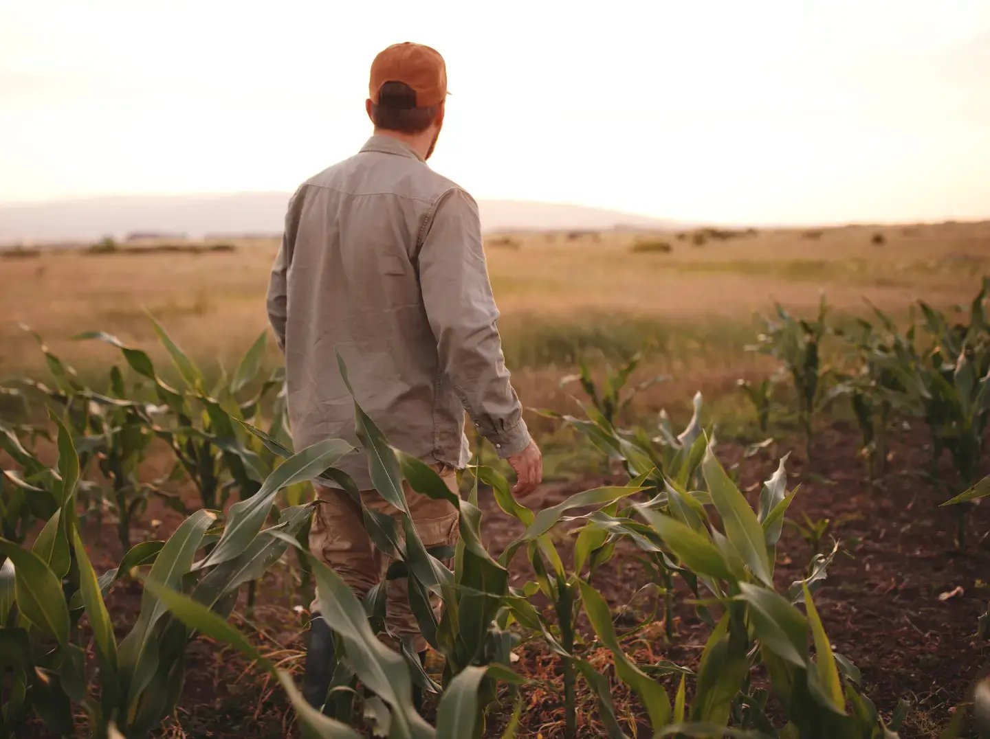 GC Farm Store Guide - Website Elements 4