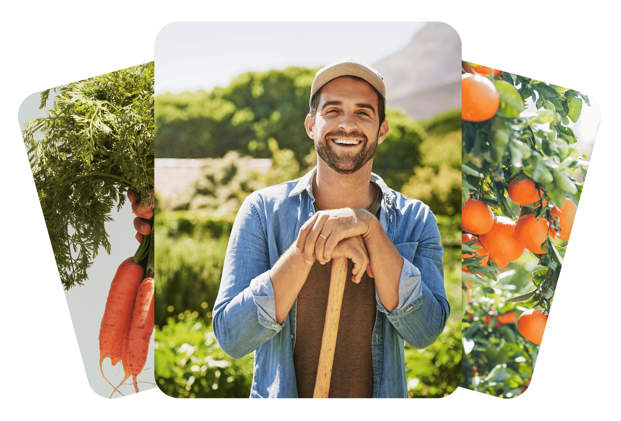 GrazeCart farmer carrots oranges graphic