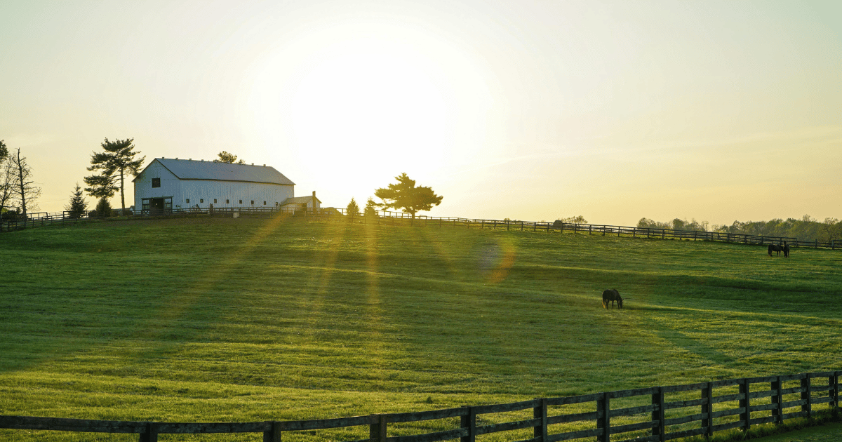 Meta: Are you ready to move from hobby farming to starting a direct-to-consumer farm business? Here are 6 signs you’re ready to transition. 