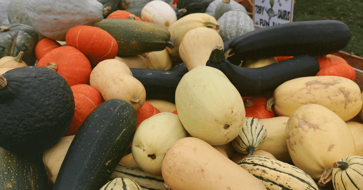 balancing-seasonal-cash-flow-for-farms