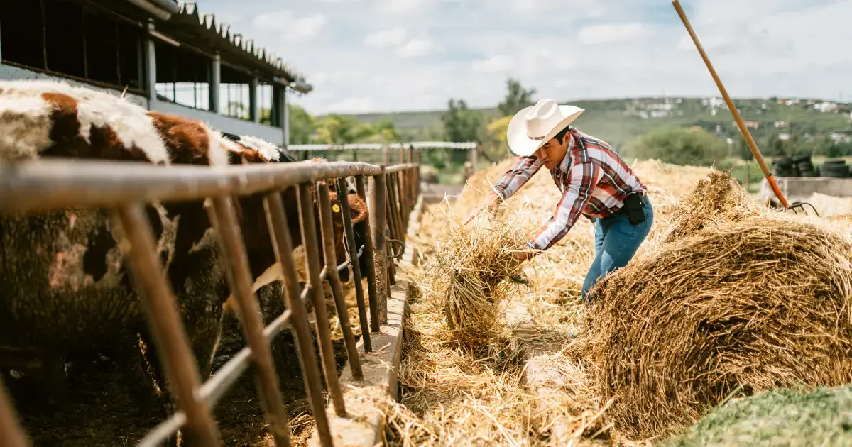 tips for lowering a DTC farm's operating costs