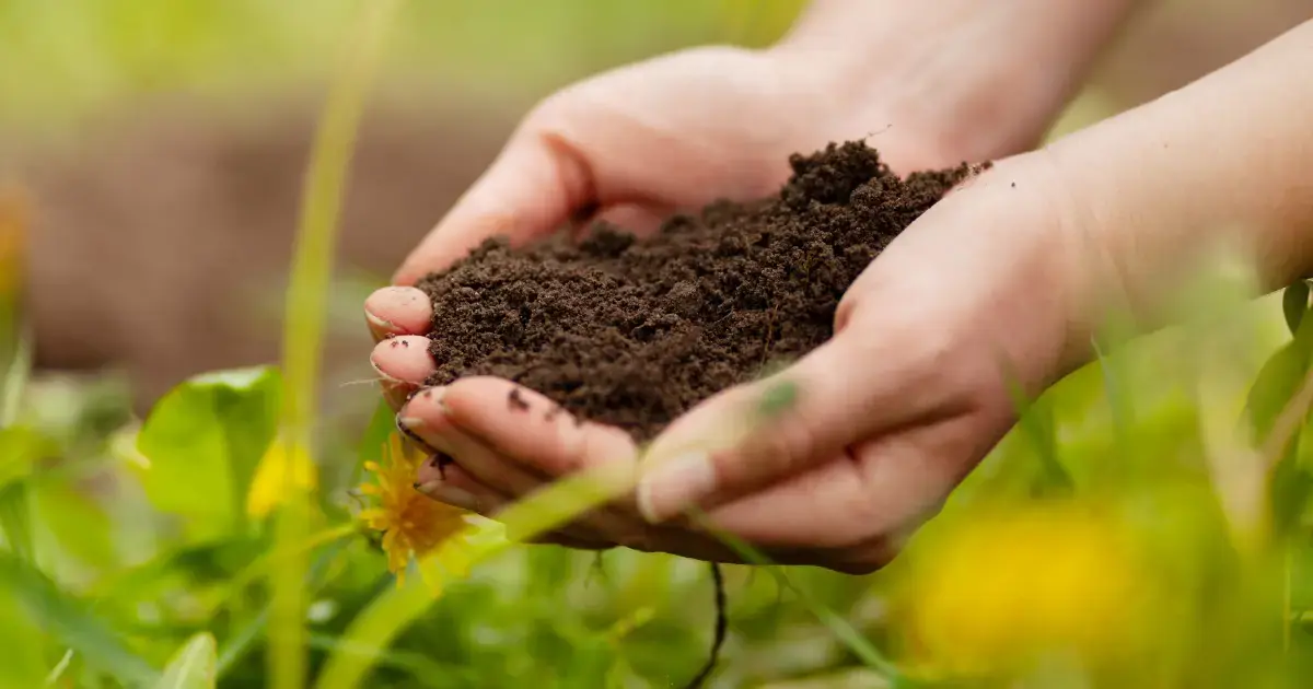 is regenerative farming organic?