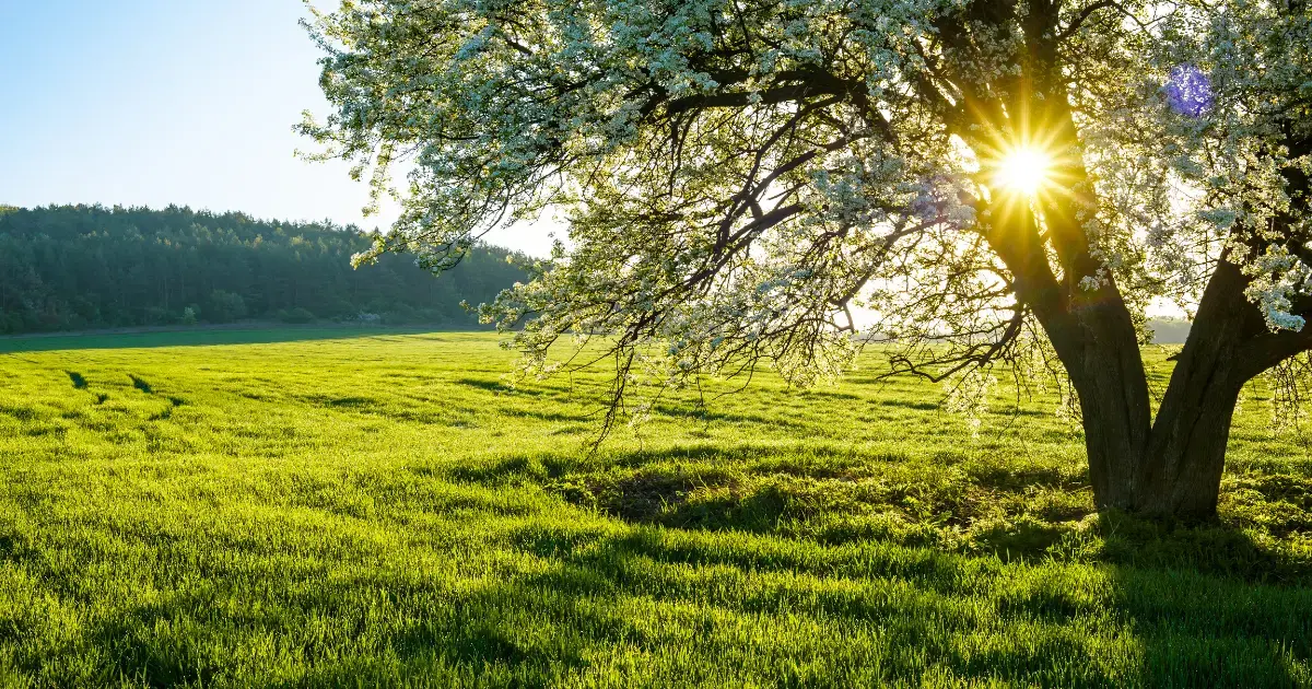 What is a regenerative farm