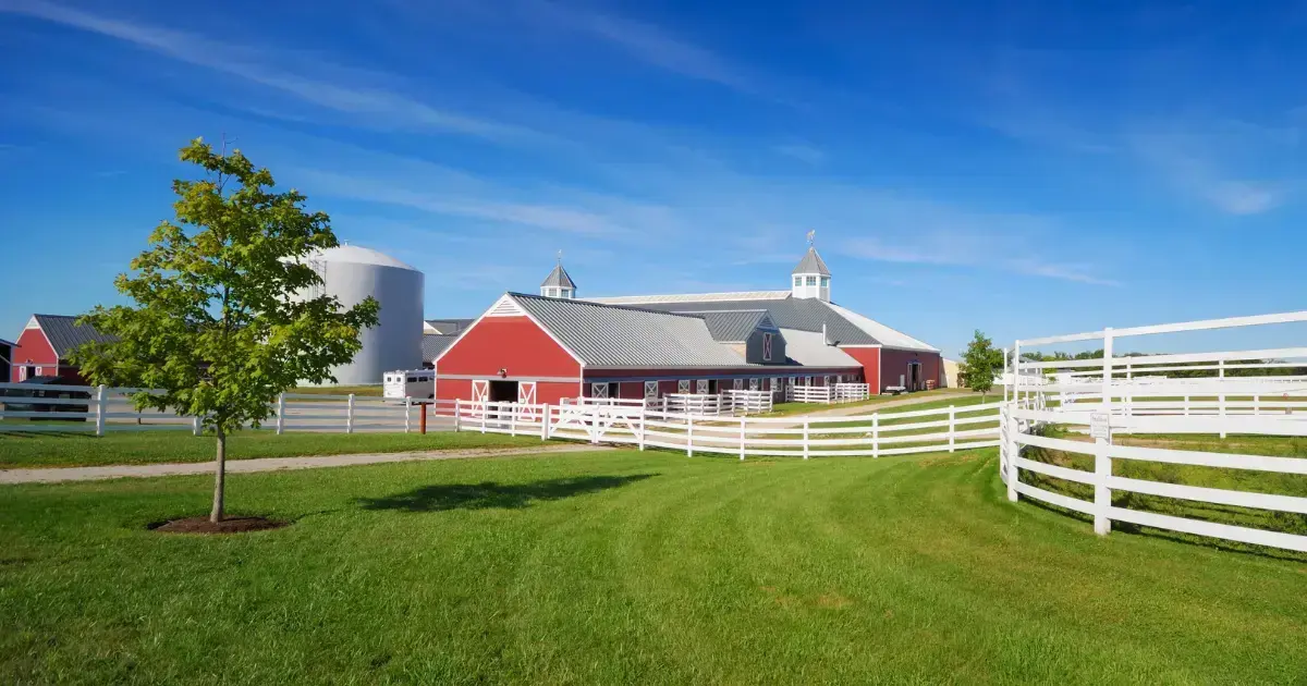 farm to table business