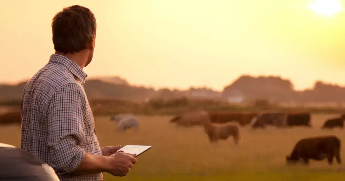 farm e-commerce platform