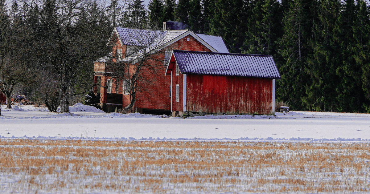 Discover easy ways to stay profitable and get ahead during your farm store’s quietest months — including strategies for marketing, maintenance, and year-round sales.