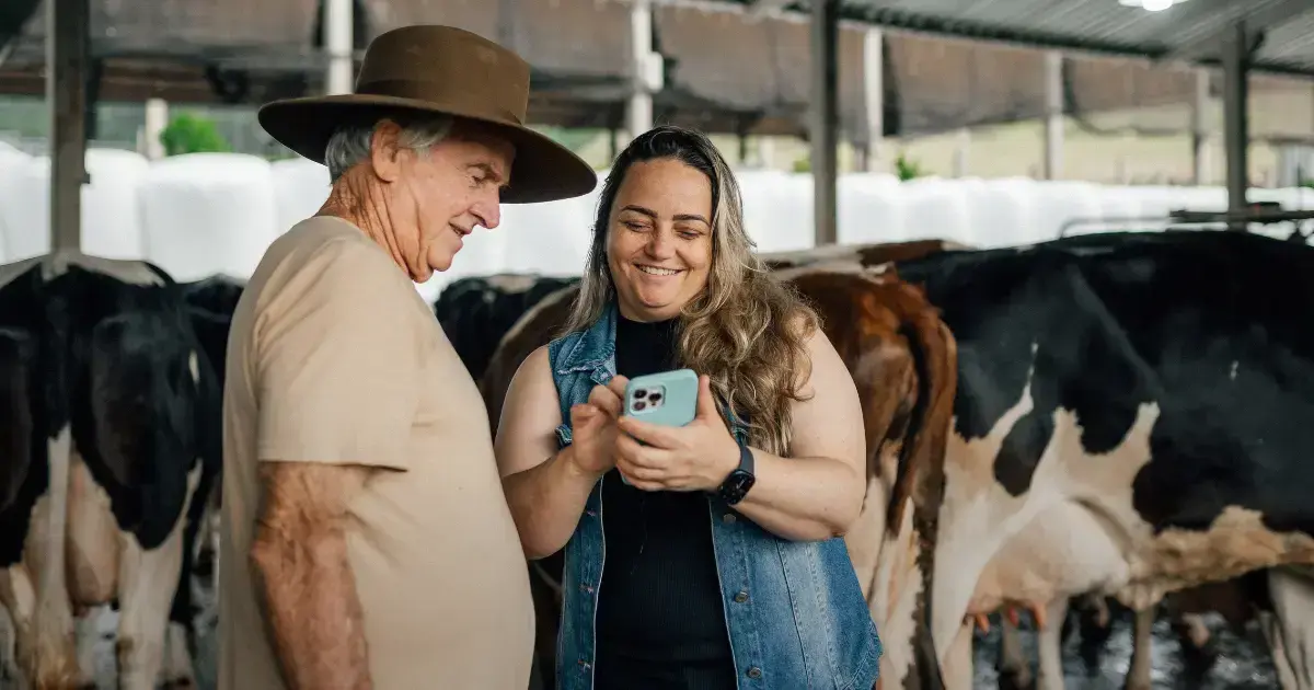 local meat seller using phone for e-commerce